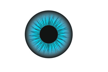 eye
