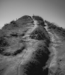 Loma desértica, playa en blanco y negro, monocromática