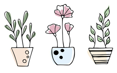 flowers in pots