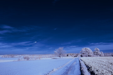 Scenic view of an agricultural  field with trees under the blue sky - infrared photography