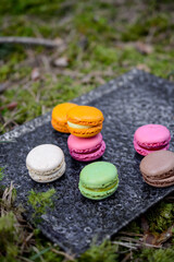 Colorful macaroon cookies and chocolate candies, picnic in the forest