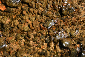Crystal clear water as a background