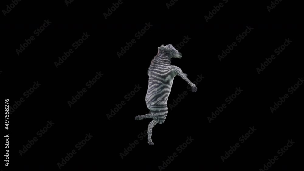Poster zebra dancing, 3d rendering, animation loop, cartoon.included in the end of the clip with alpha matt