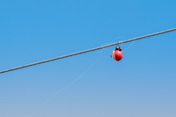 Fishing Bobber Stuck on Power Line