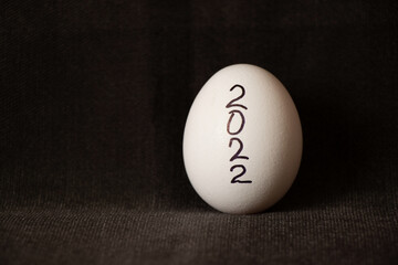 One white chicken egg with the inscription 2022 on a gray background close-up, year 2022