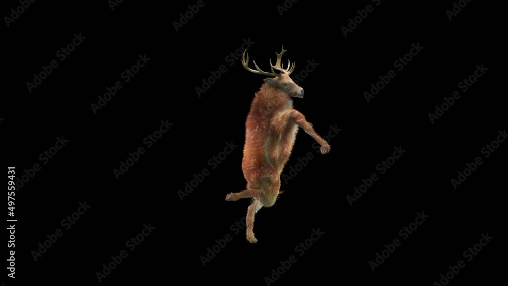 Fototapete deer dancing cg fur 3d rendering animal realistic cgi vfx animation loop composition 3d mapping cart