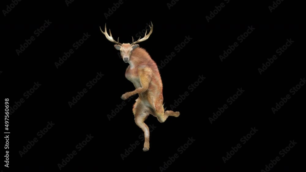 Fototapete deer dancing cg fur 3d rendering animal realistic cgi vfx animation loop composition 3d mapping cart