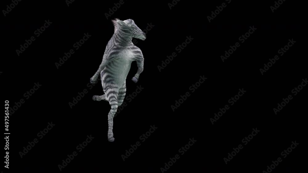 Poster zebra dancing, 3d rendering, animation loop, cartoon.included in the end of the clip with alpha matt