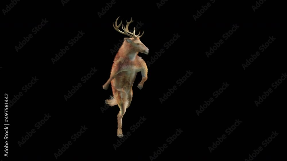 Fototapete deer dancing cg fur 3d rendering animal realistic cgi vfx animation loop composition 3d mapping cart