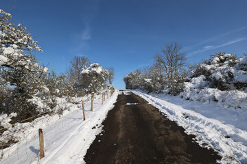 Winter landscape with freshly fallen snow in the morning