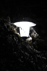 Night Lamp