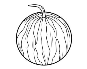 Watermelon in isolate on a white background. Vector illustration