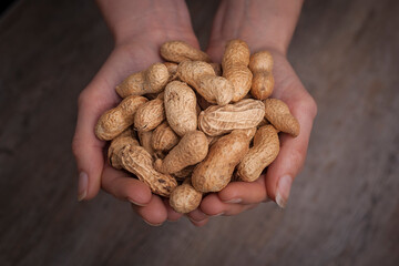 hands holding monkey nuts