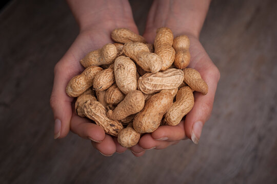 Hands Holding Monkey Nuts