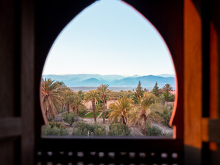 View of the palm trees from an arch window