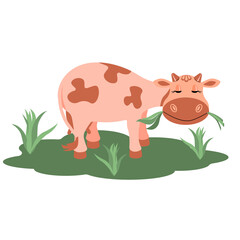 Cow on the lawn chewing grass, isolated on a white background.Vector illustration of a cow can be used in packaging of dairy products,textiles.