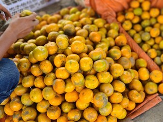 Orange fruit, Good quality pictures