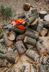 A professional red chainsaw lies on sawn logs, coniferous wood firewood at a workplace in the forest.