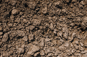 Background, texture of dug up earth, soil. Chernozem, top view.