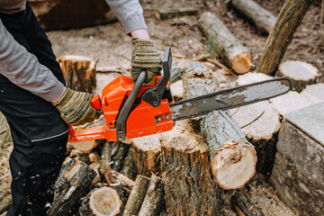 Lumberjack man, professional saws logs holding a red chainsaw in his hand, trees at the workplace in the forest.