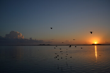 Fototapeta na wymiar sunrise and lake with birds flying in Bacalar, Mexico