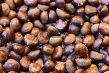 selective focus: chestnuts produced organically in Turkey	
