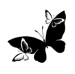 Monochrome butterflies abstraction. Vector illustration