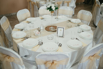 Table decoration for a special occasion - white plates and green plants. Eco/nature friendly decoration. 