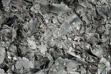 Pieces of burnt paper, as background. The ashes of the paper.
