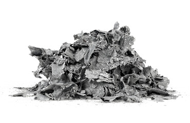 Pile of burned paper isolated on a white background. The ashes of the paper.