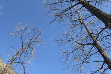 Landscape photography in the India