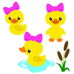 Cute girly duckling vector cartoon illustration