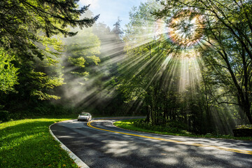 Car drives on curvy mountain road through streams of sunlight peaking through trees