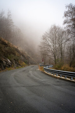 Autumnal road on a foggy day in the city of Bielmonte, Piedmont, Italy