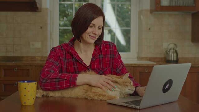 30s woman petting red cat while working online using laptop at home. Distant working from home.
