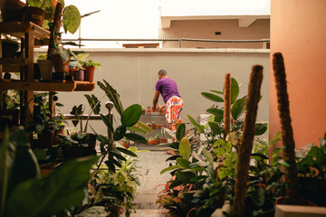 self care image of a black gardener attending to his plant nursery at home during lockdown 