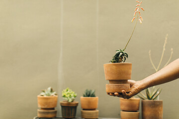 photograph of a black gardener holding his potted plant in his nursery 