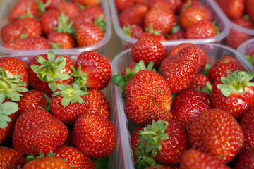 Ripe strawberries in the market