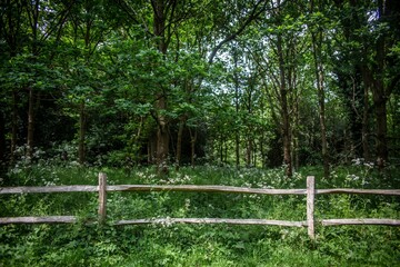 English Garden Rustic Fence II