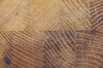 Oak wood panel. Brown wooden background
