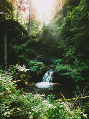 Vertical shot of a river flowing in a forest surrounded by rocks