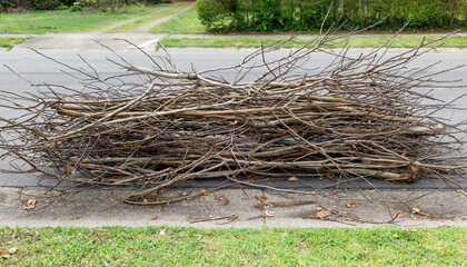 Stack of pruned tree branches at curb.