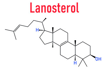 Lanosterol molecule. Investigated for treatment of cataract. Skeletal formula.
