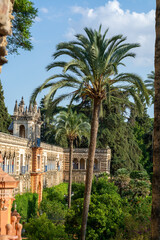 Royal palace green gardens in Mudejar style. Old historical Andalusian town Seville, Spain.