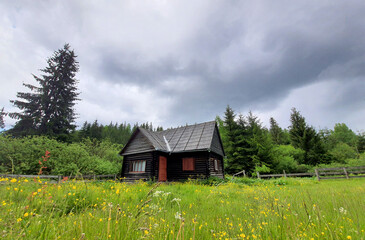 A wooden mountain hut or challet on a beautiful spring day. Cloudy day, green pasture and mountain hut made of wood.