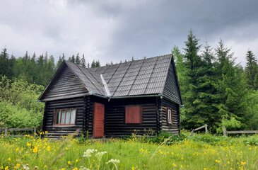 A wooden mountain hut or challet on a beautiful spring day. Cloudy day, green pasture and mountain hut made of wood.