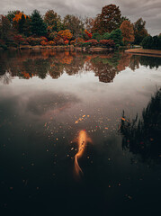 Capture verticale d& 39 un paysage d& 39 automne dans les jardins botaniques de Saint-Louis avec un poisson nageant dans le lac