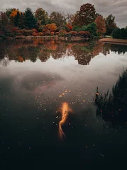 Crédence de cuisine en verre imprimé Gris foncé Capture verticale d& 39 un paysage d& 39 automne dans les jardins botaniques de Saint-Louis avec un poisson nageant dans le lac