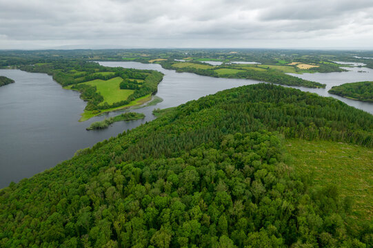 Aerial shot of a forest in Cavan, Ireland