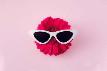 A magenta gerbera daisy with white cat eye shaped tinted sun glasses against pastel pink...